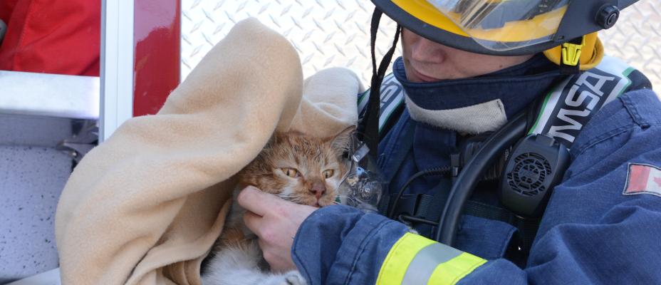 Firefighter with Cat