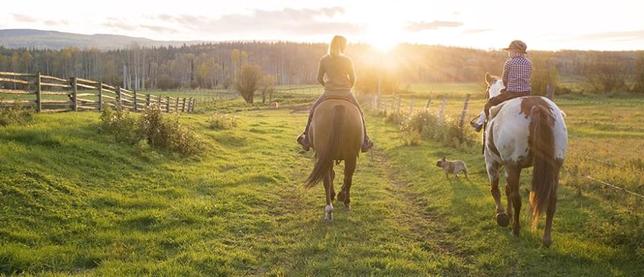 horseback riding